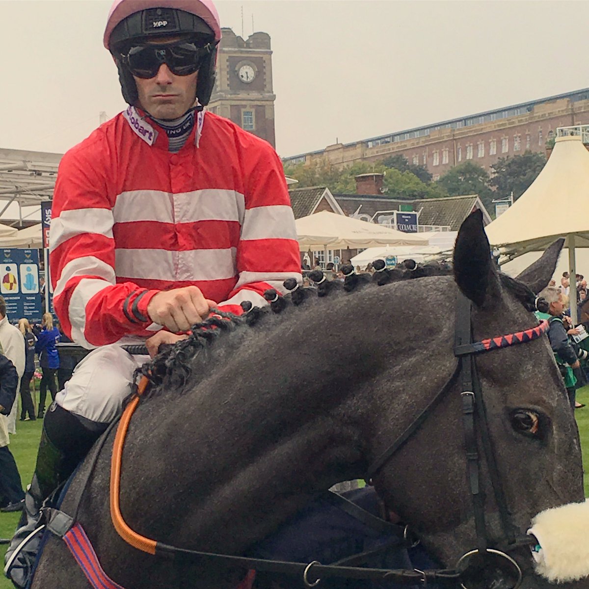 leedeetee's tweet photo. This is my absolutely favourite photo of the day. #MeccasAngel in the #nunthorpe. #eborfestival #yorkraces https://t.co/1k4CBrXpXs
