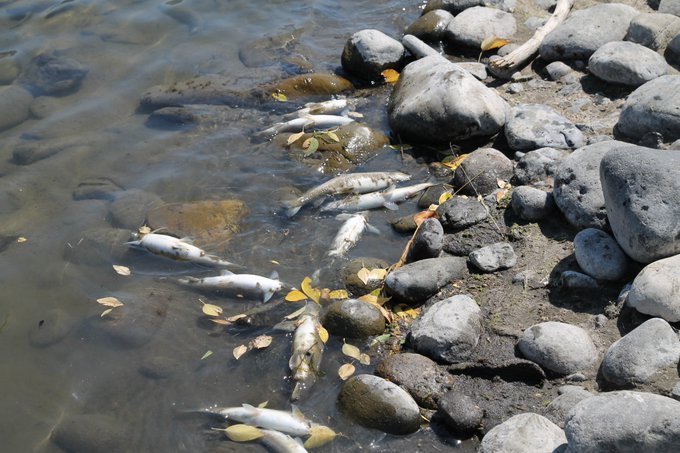 Ver imagem no Twitter Ver imagem no Twitter