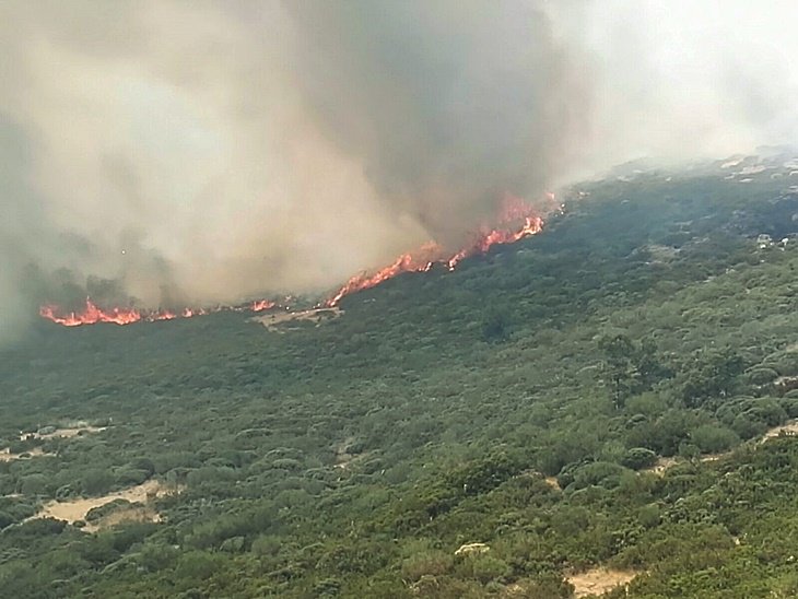 Extremadura 7 Días tweet media