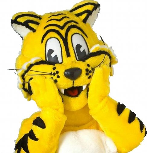 GTGuelph's tweet photo. Kids, come see "Friendly the Tiger" this Sunday from Noon to 1pm at Giant Tiger Guelph. https://t.co/4eh29i7MAV