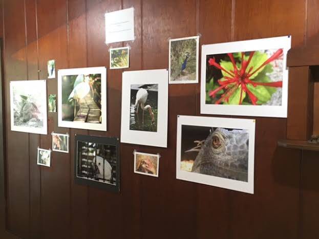 WonderGardens tweet media