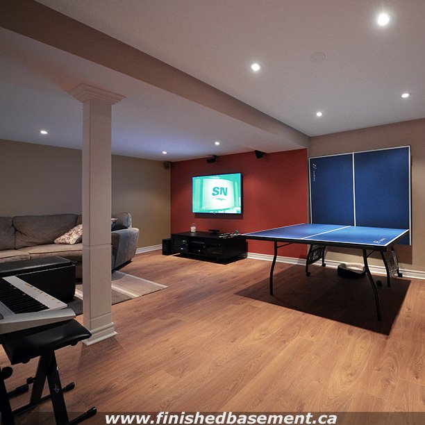 RenoBasement's tweet photo. Are you also watching the #olympics? How about #watching &amp; still being able to #play your favorite #sport? https://t.co/SLVuxTH8Yl