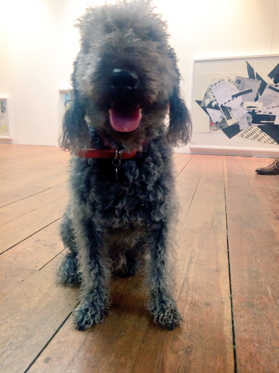 HuwsThere's tweet photo. I love this show! @dominicwilcox is a new hero for dogs! #ArtforDogs #Playmore #LoveLondon https://t.co/9oq0Kflkvm