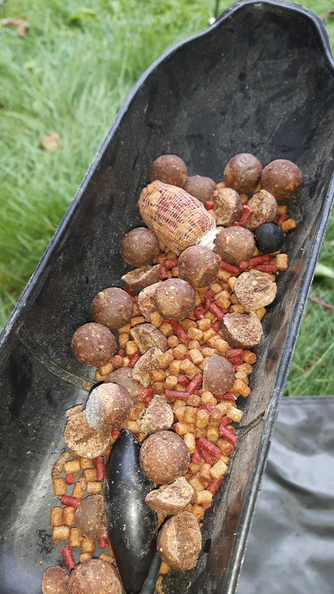 adamgoodwin2's tweet photo. @northernnev  liver &amp; krill with black pop up from @KarpKandi and @cv_tackle end tackle https://t.co/GJDsEUGSut