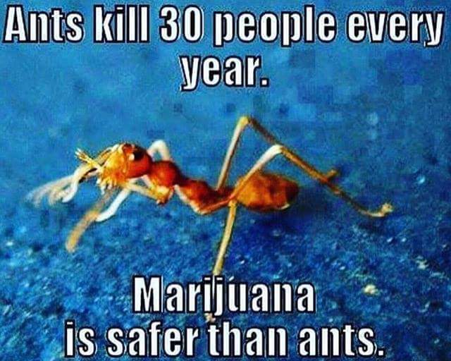 <a href="/Timeline_Saver/">🅱️oeo</a>