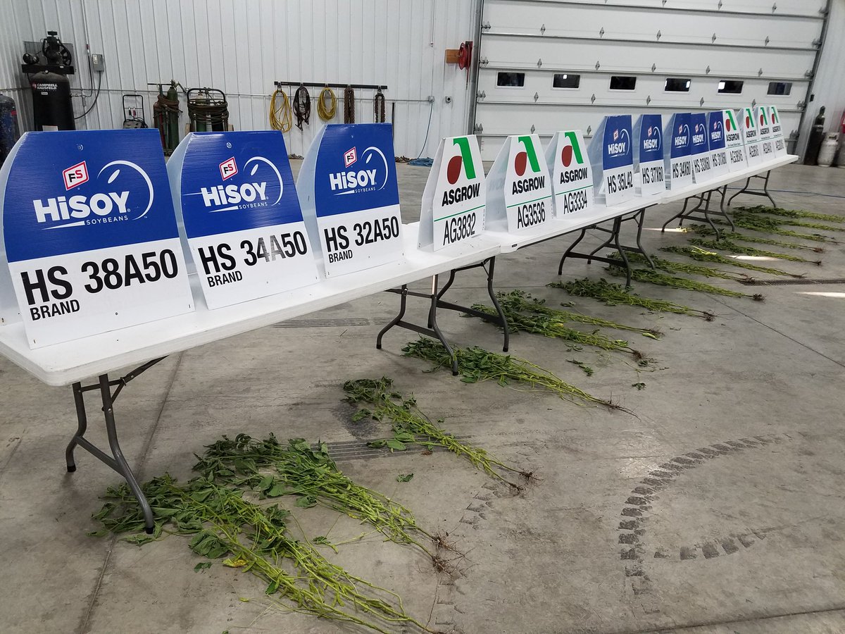 A27Killian's tweet image. Great Seed Kick-off at #PIATTFS. @GMK_Agronomy @Asgrow_DEKALB @FSServices #HISOY #INVISION #DEKALB #ASGROW