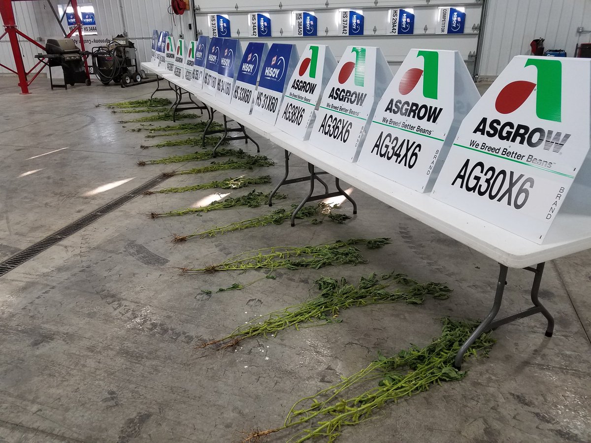 A27Killian's tweet image. Great Seed Kick-off at #PIATTFS. @GMK_Agronomy @Asgrow_DEKALB @FSServices #HISOY #INVISION #DEKALB #ASGROW