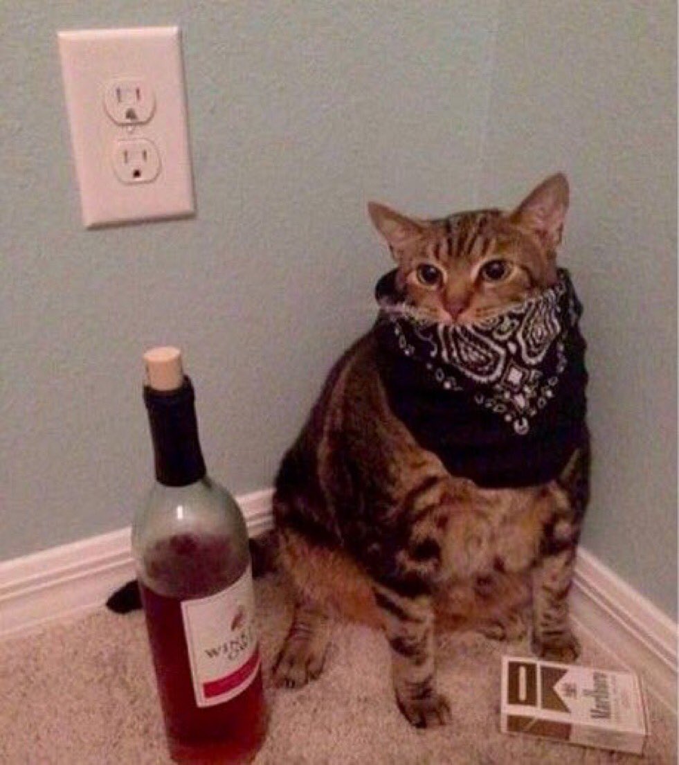 DriveLike_IDo's tweet photo. Me after I watch the Robbers video https://t.co/QBIa7nePMV