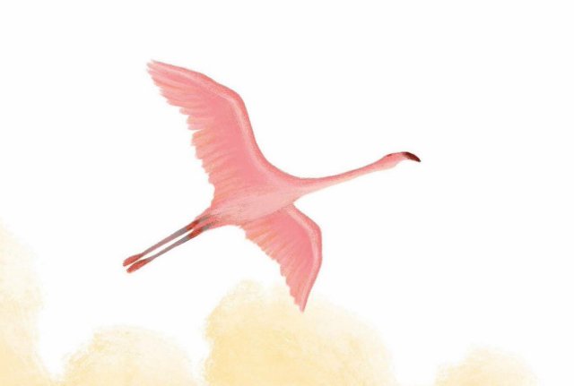 Azul Kids Boeken tweet media