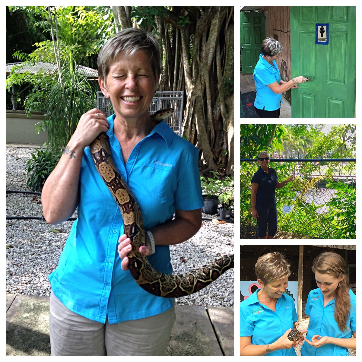 WonderGardens tweet media