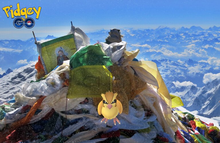PidgeyGONE's tweet photo. #PokemonGO still isn't global. We are. You can find pidges literaly everywhere. #PidgeyGO https://t.co/Ul6Eyq63Ux
