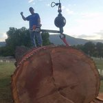 Photo by Chatt Tree Service (@Chatt_Tree)