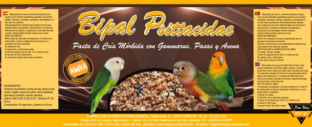 teganslbipal's tweet photo. Nueva pasta de cría para #Agapornis 
https://t.co/vf4D76GQjf #psitacidas #psittacidae https://t.co/zyAhEY3C0H