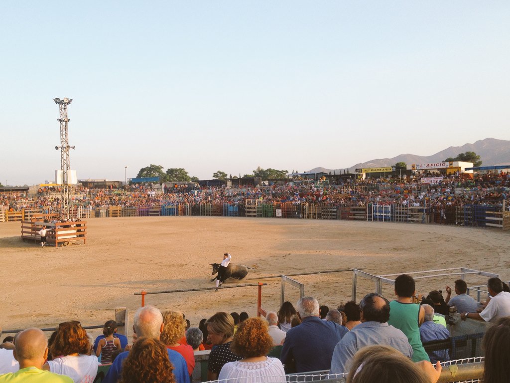 PJCarapuig's tweet photo. Concurs de retalladors a la Monumental d'Amposta. #SIalostoros #Amposta #FFMM2016 @marcsjb https://t.co/dtnq4NC2mP