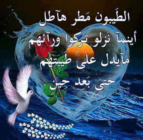 مااجمل الحياة أن ترى شخصاً صفاته الوفاء ومعدنه الصدق والاحترام. ليجعلك أن تعيش حياتك جميله وسعيده أجمل من ان لا تتوق