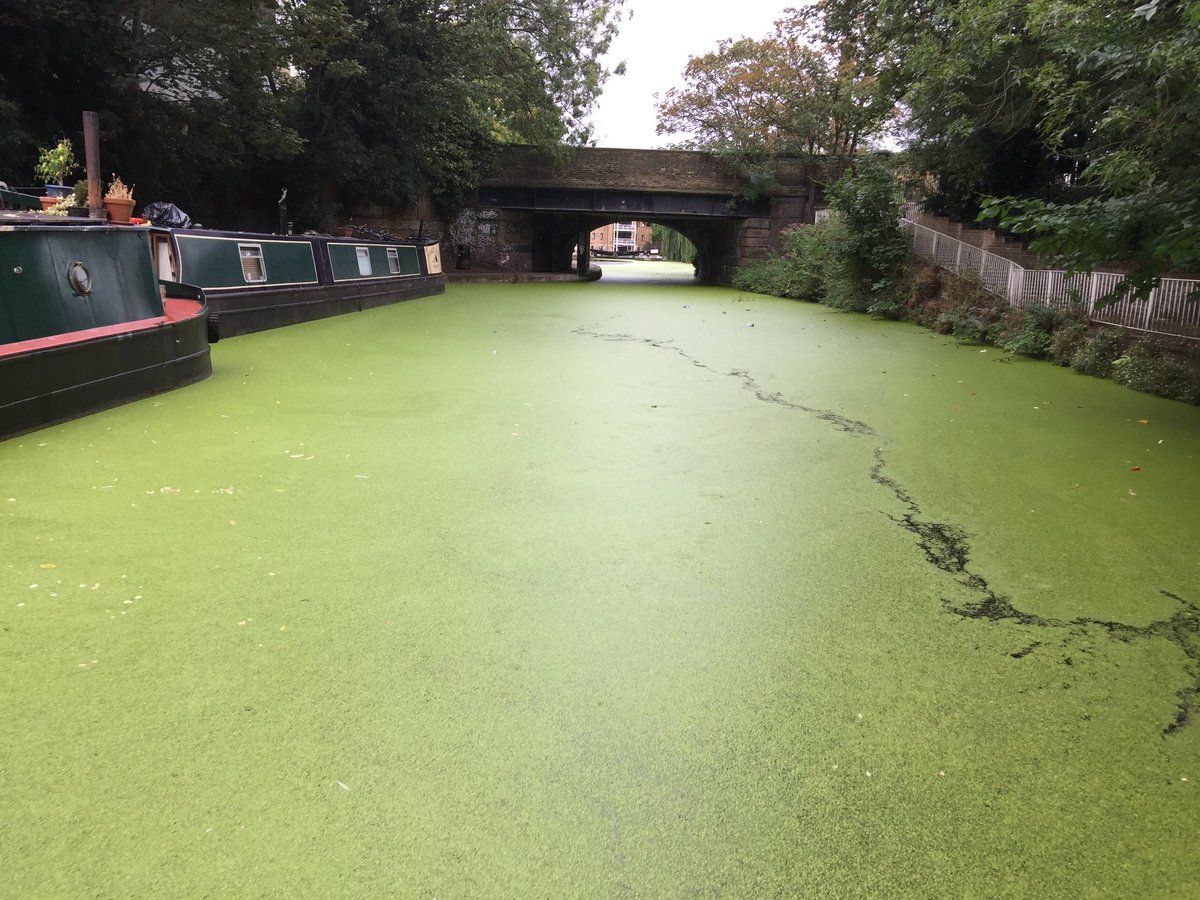<a href="/VestalVoyages/">Ladies & Gents kx</a>  had the most amazing time with cocktails. Thank you for your hospitality!