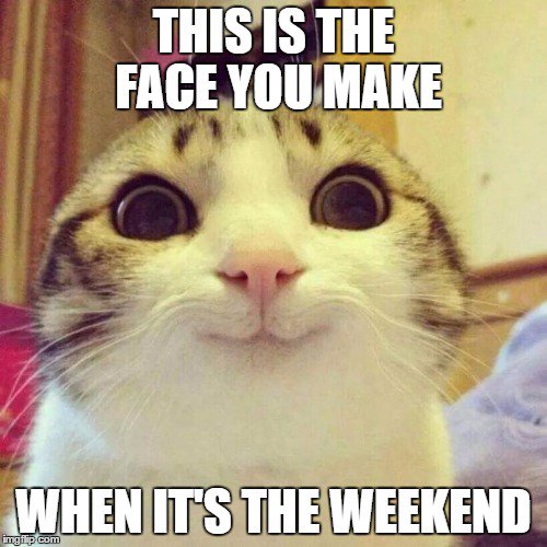 Image result for happy weekend cat images