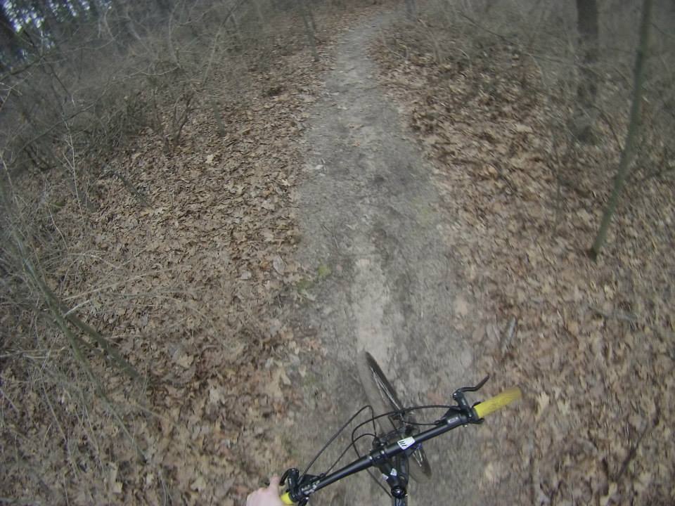 phil_sveum's tweet photo. What You Need to Know for Biking Around #MadisonWI!
#cbsuccessblog #cbsuccess
https://t.co/jNPnKt1BeA https://t.co/ZzzSHMoWHk