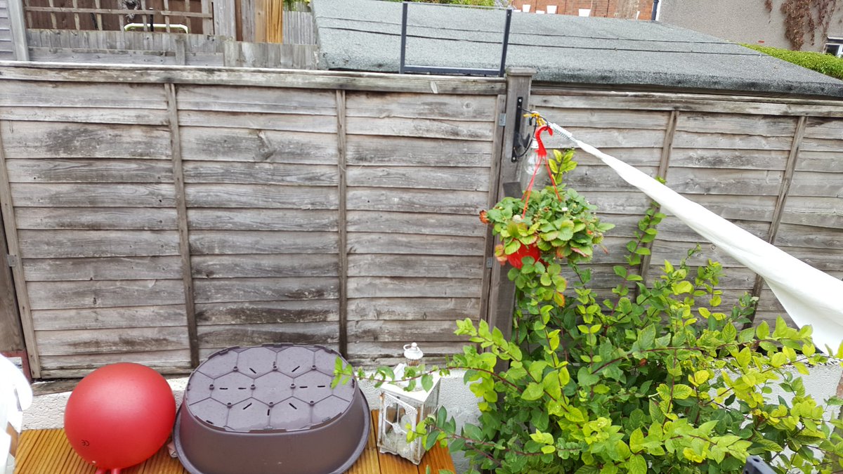 Wfencinggarden's tweet photo. #Outwiththeold #Inwiththenew today #Fence #Gardens #Wood #Wiltshire #Trowbridge #Melksham #Westbury #Seend #Atworth https://t.co/UQq7fKpWUS