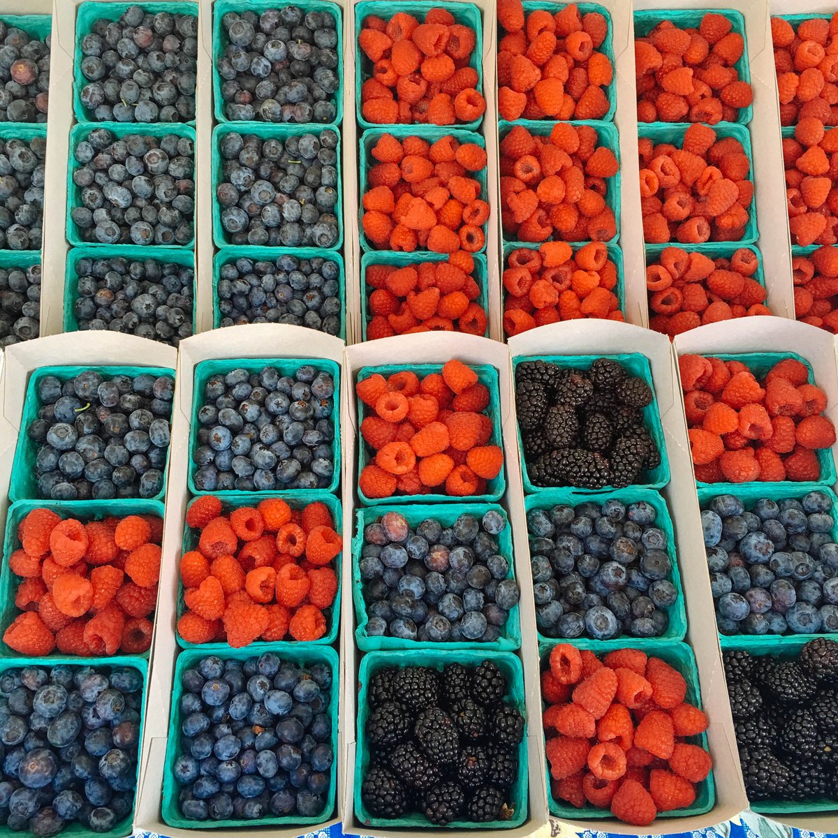 We're always down for a BERRY good snack! RT if you enjoy your purple container as a snack too. #FIXATE