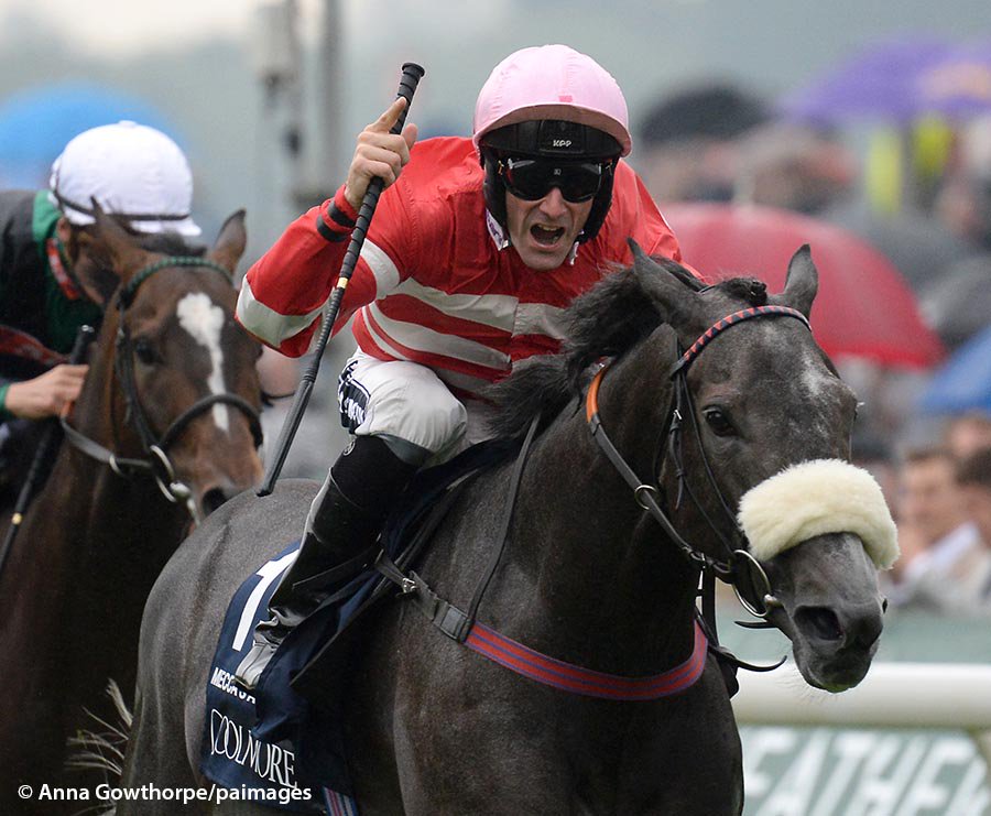 AnnaGowthorpe's tweet photo. Top result for #MeccasAngel #PaulMulrennan in the #Nunthorpe @yorkracecourse #EborFestival @PAImages @PAracing https://t.co/Evc82luXJp