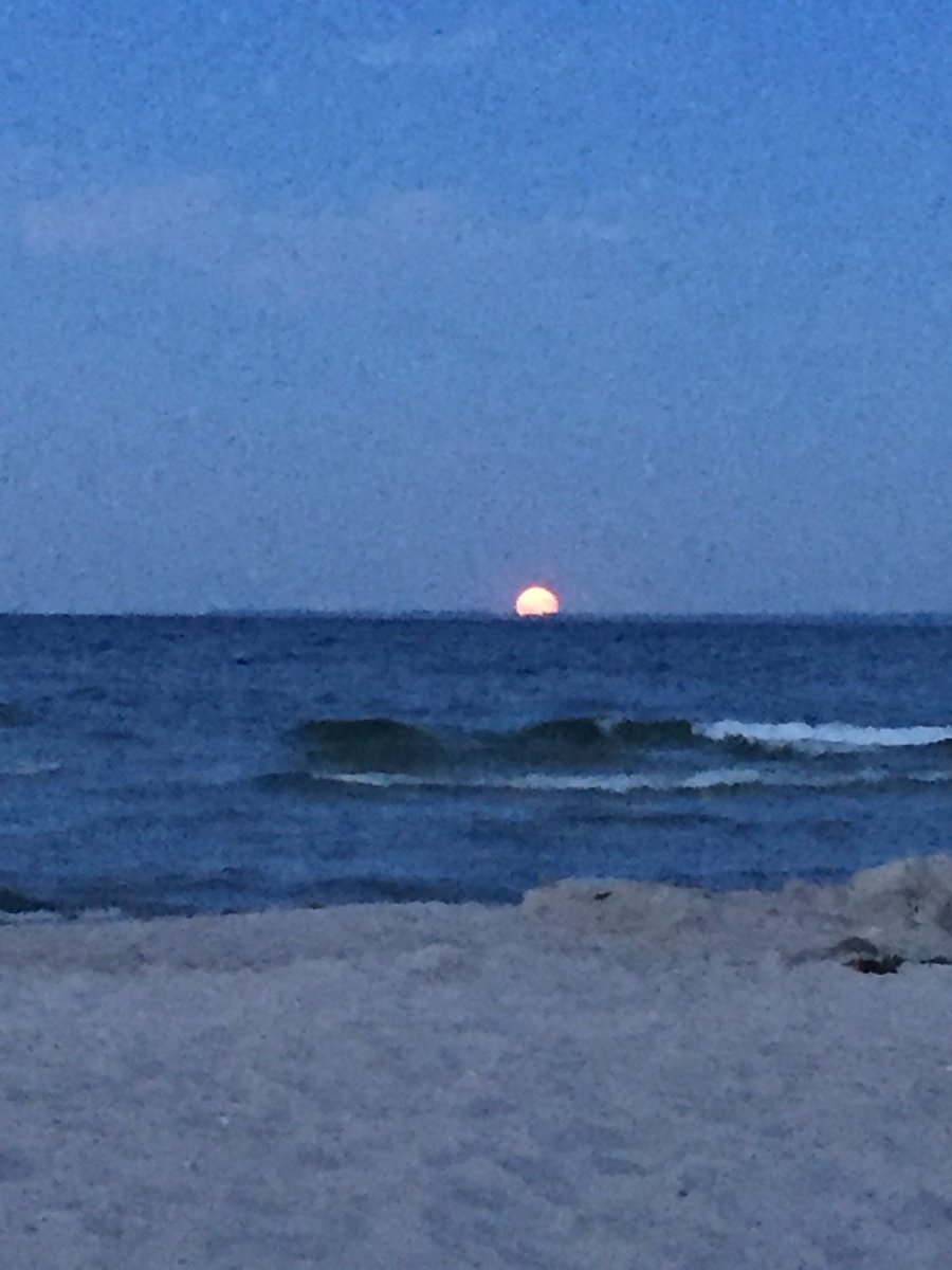 bertie_baggio's tweet photo. #PinkMoonRising https://t.co/kDUVQiuF1S