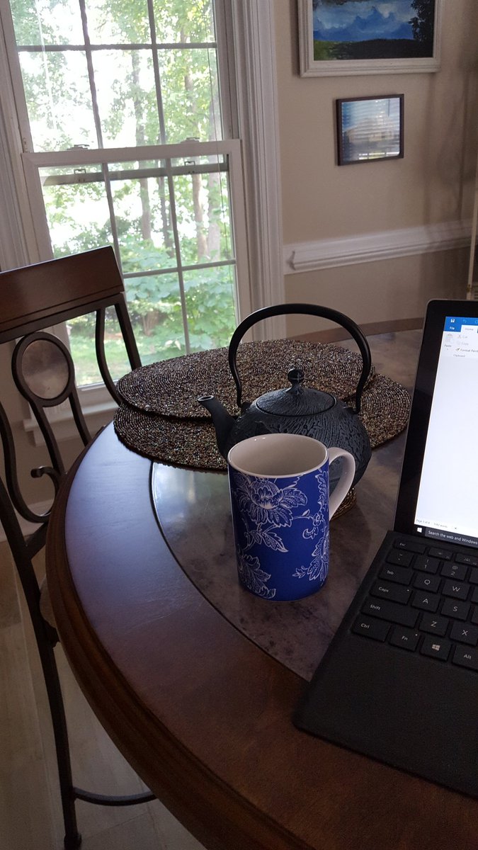 bizfel's tweet photo. Hard to beat the heron chair or library,  but I'm in love with my new writing spot. #amwriting #counterheighttable https://t.co/t47R2XYJIw