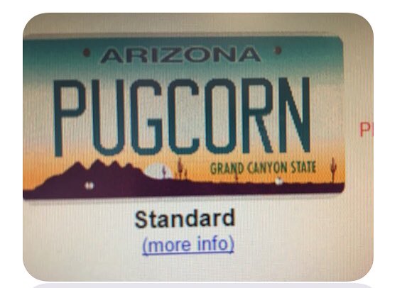 AVERYofficial's tweet photo. A real life photo of #pugcorn https://t.co/ZlpI6rxAbq