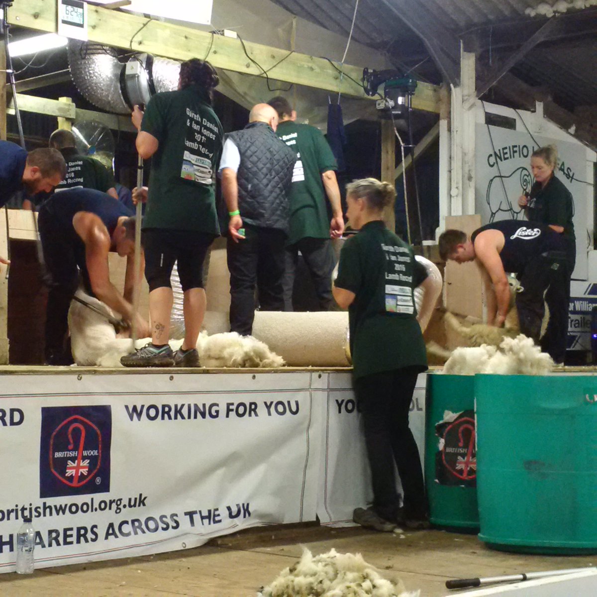 British Wool Farm tweet media