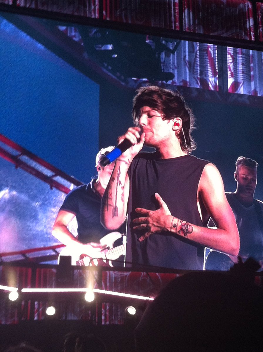 NatalieKind's tweet photo. Today's the 2nd anniversary of me seeing @onedirection for the 1st time as well as @5SOS . #WWANashville #LPField https://t.co/POnywvBpr6
