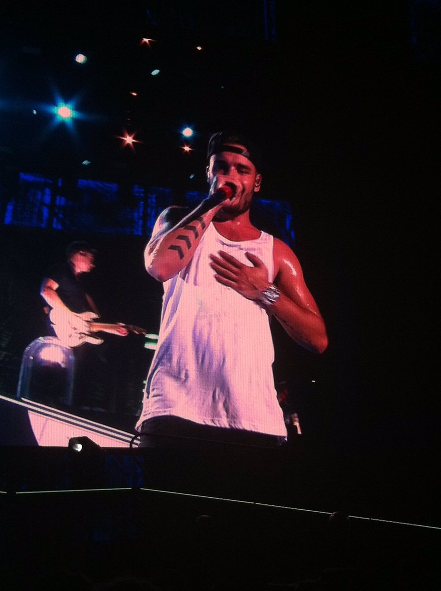 NatalieKind's tweet photo. Today's the 2nd anniversary of me seeing @onedirection for the 1st time as well as @5SOS . #WWANashville #LPField https://t.co/POnywvBpr6