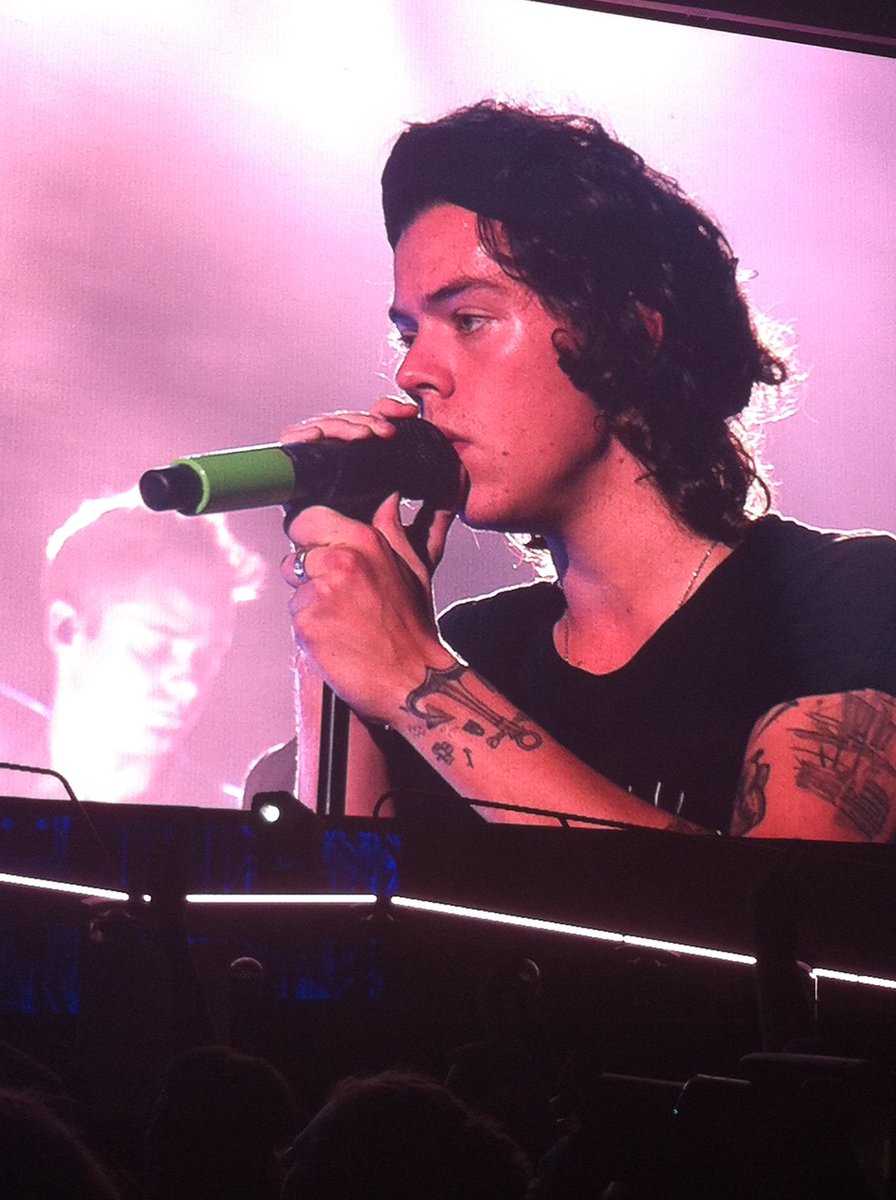 NatalieKind's tweet photo. Today's the 2nd anniversary of me seeing @onedirection for the 1st time as well as @5SOS . #WWANashville #LPField https://t.co/POnywvBpr6