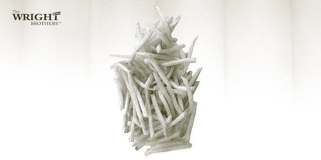 TWBStore's tweet image. We know what you’re thinking, and it’s true. August 19 is #NationalAviationDay thewrightbrothersstore.com/dyk-aug19-nati… … #WrightBros