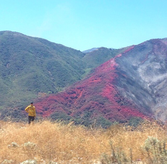 View image on Twitter