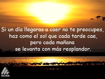 EditorialEcisa's tweet photo. #Lunes. Ediciones Culturales les desea exitoso inicio de semana. https://t.co/rVOUtHHcj9