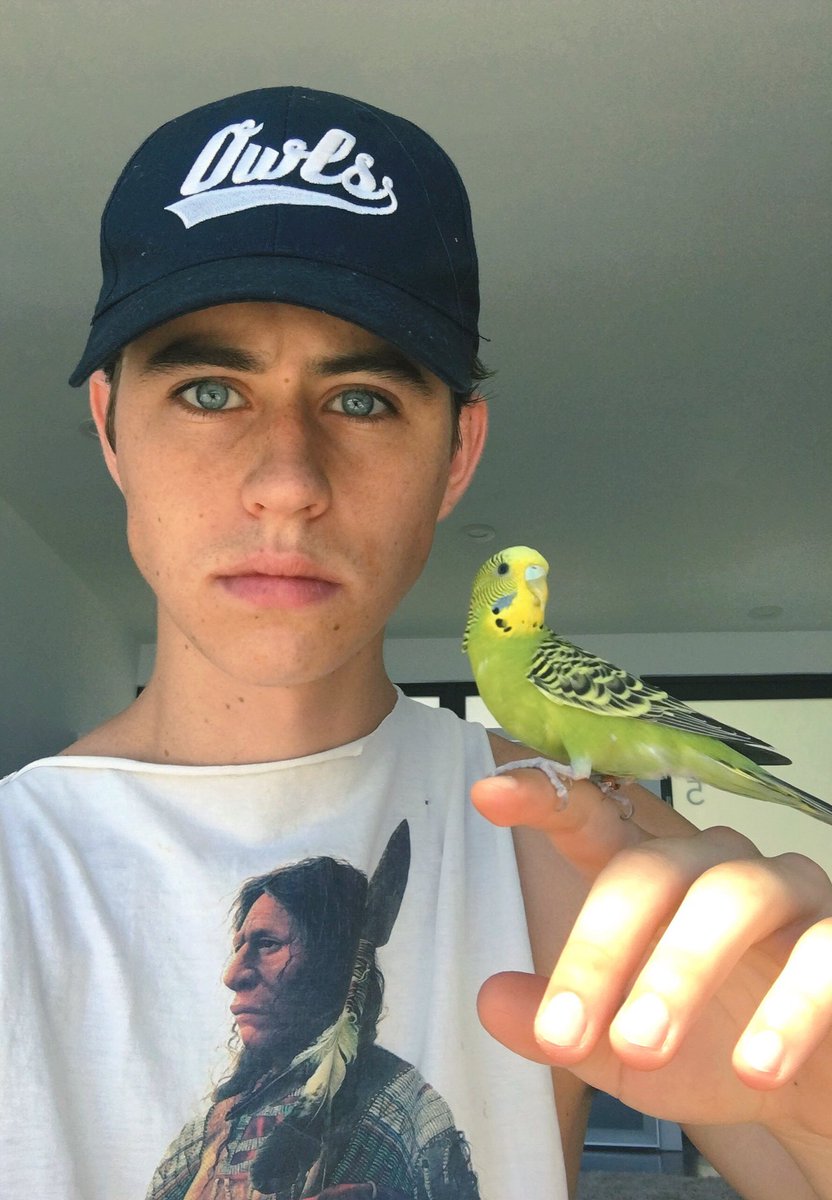 Nashgrier's tweet photo. Truman https://t.co/RtnqhXMYhr