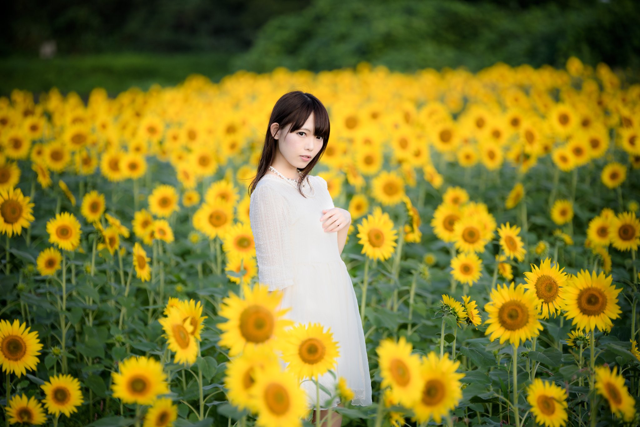 Aru 早朝のひまわり畑にて 白ワンピとひまわり 滅多にないポトレ ひまわり畑で念願叶って本当に嬉しかったです M M お写真 ゆうさん Yuu Sekai99