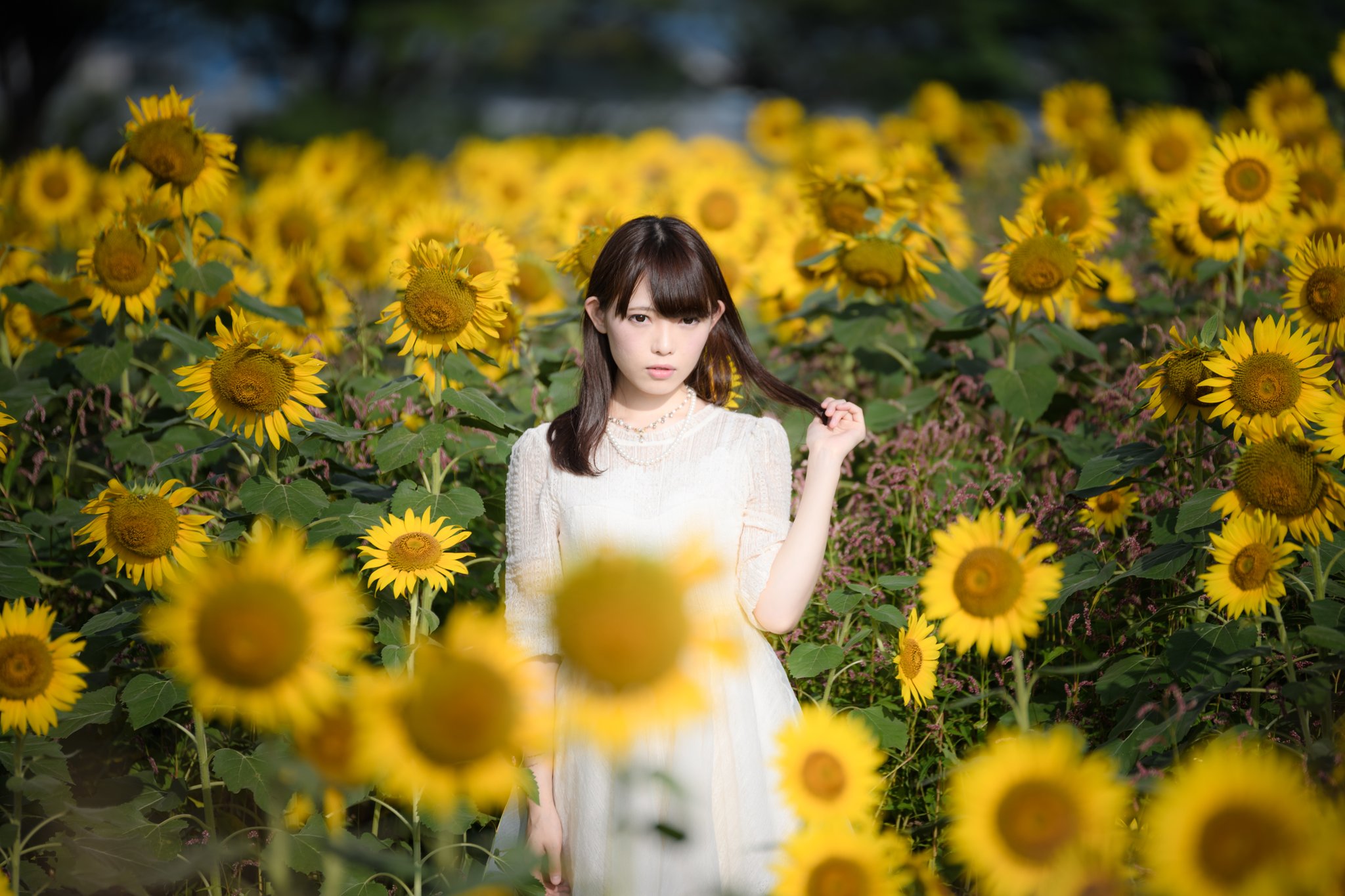 Aru 早朝のひまわり畑にて 白ワンピとひまわり 滅多にないポトレ ひまわり畑で念願叶って本当に嬉しかったです M M お写真 ゆうさん Yuu Sekai99 Aru 早朝のひまわり畑にて 白ワンピとひまわり 滅多にないポトレ ひまわり畑で念願叶って本当に嬉しかったです M M お写真 ゆうさん Yuu Sekai99