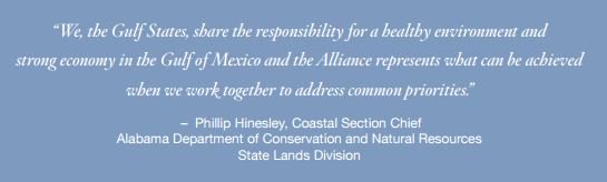 GoA_Alliance's tweet photo. Find our successes #10Years & our reach to the future #APIII https://t.co/UMuOCSXz24 https://t.co/2GbBcyb3y8
