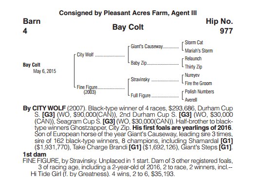 PleasantAcresSt's tweet photo. See our 8 hips #OBSAug! Hip 977 colt from 1st crop of City Wolf x fam of Lord Avie! https://t.co/pNRxPGfu4L https://t.co/61DNBnwLzD