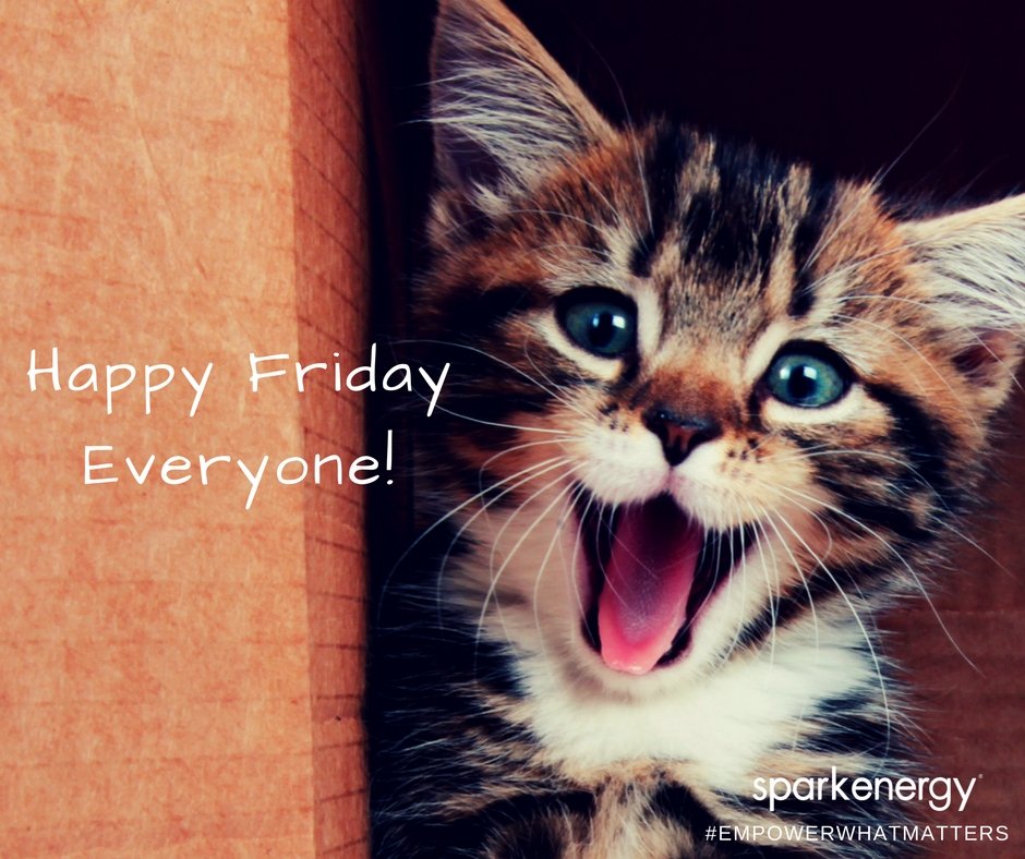 SparkEnergy's tweet image. Have a safe and wonderful weekend! #sparkenergy #sparkfamily