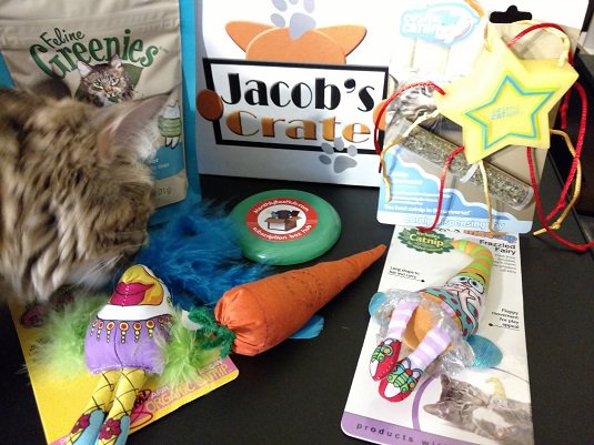 #SubscriptionBox #Review:August 2016 <a href="/jacobscrate1/">Fluffybastard</a> #Cat #Subscription Box #Unboxing &amp; Review monthlyboxhub.com/content/august…