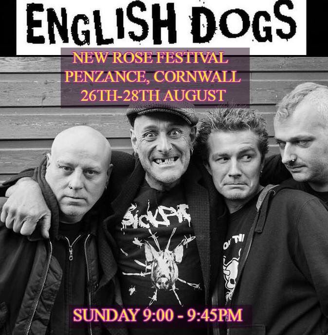 EnglishDogs PunkRock tweet media