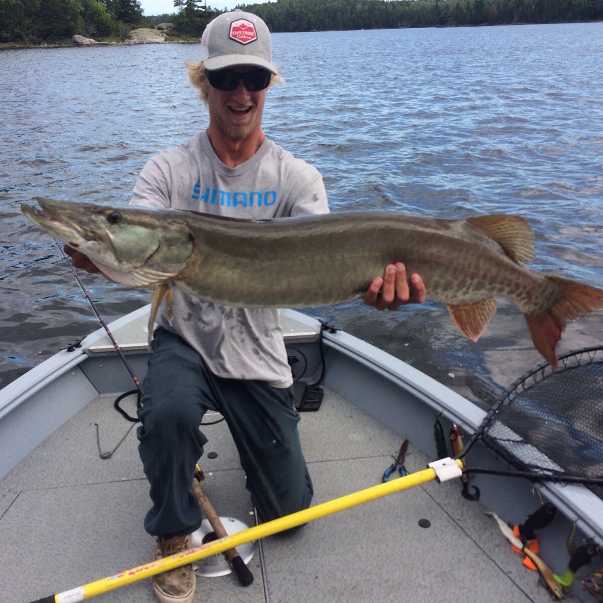 SpennyFish's tweet image. Beautiful 42" Mega Musky from lake of the woods. #LoveIt