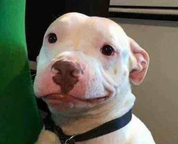 GluvaThaLuva's tweet photo. When people really be talking to me and I know they lying https://t.co/Sdl0fVf84s