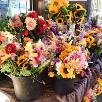 Start your weekend at the Toledo Farmers' Market.  This Saturday from 8-2pm ffa.mx/ms/7704 #farmfan