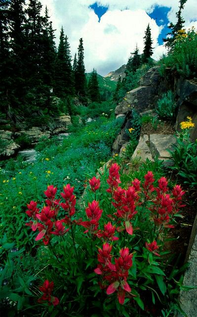 <a href="/marienassar_/">Marie Nassar</a> 
Good morning :-)) 🌷🌷