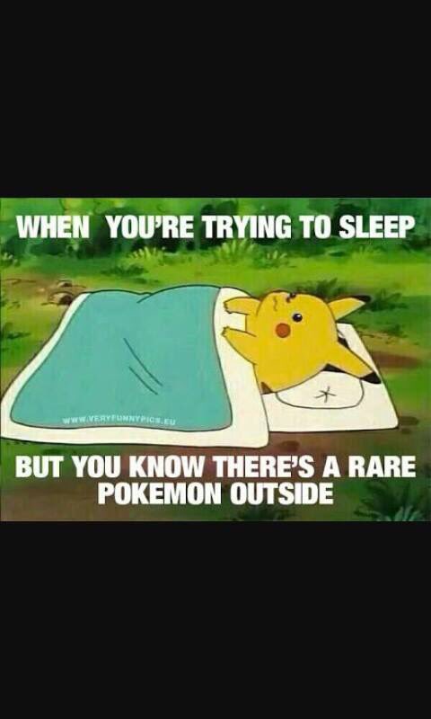 Team Valor Ottawa tweet media