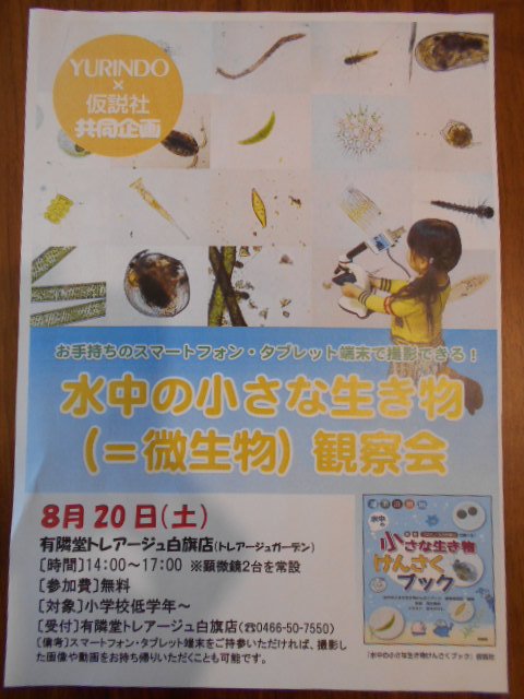 有隣堂藤沢本町トレアージュ白旗店 おはようございます 本日14時 17時まで 水中の小さな生き物 微生物 観察会 を行います 普段見えない小さな微生物たち ミジンコ ゾウリムシ ボルボックスなどを顕微鏡で覗いてみませんか 新たな発見がある
