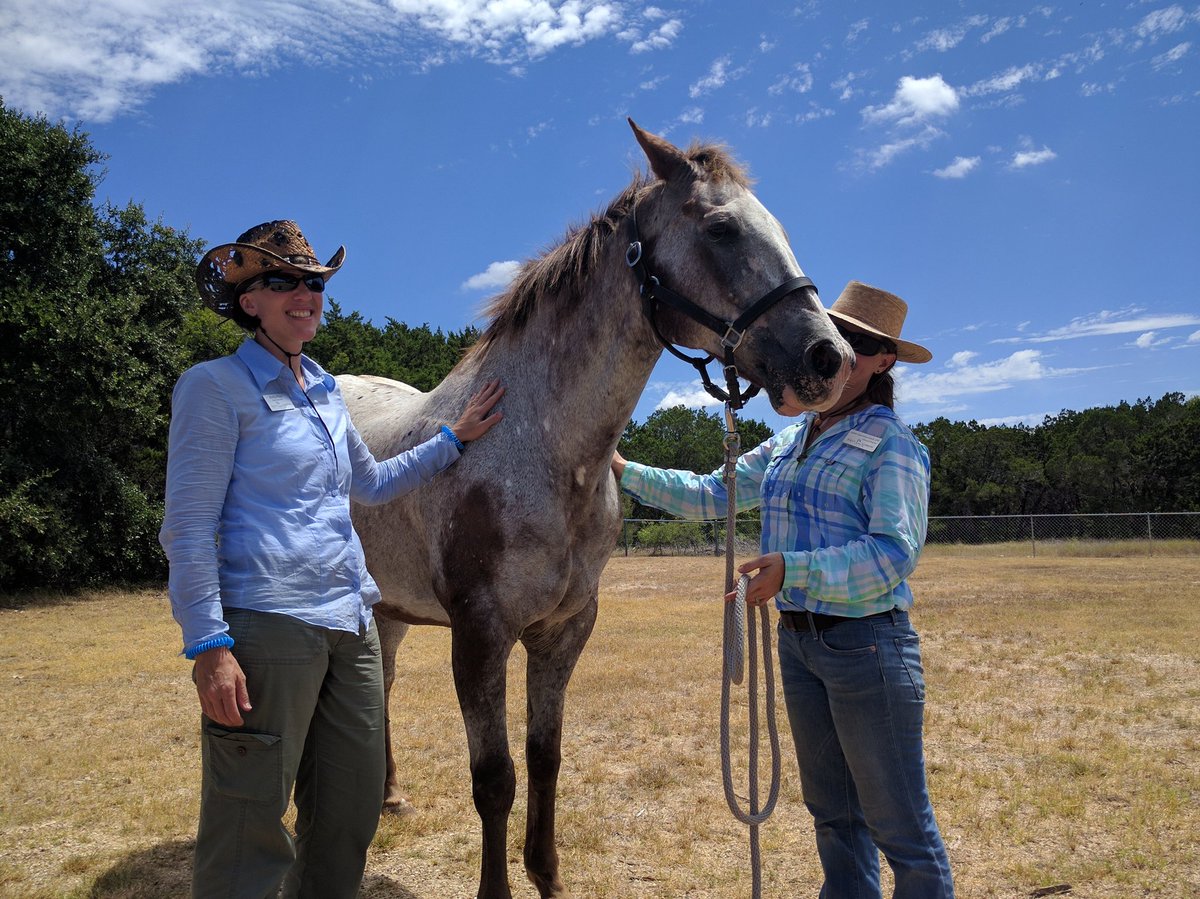 Cedar Crest Hospital tweet media